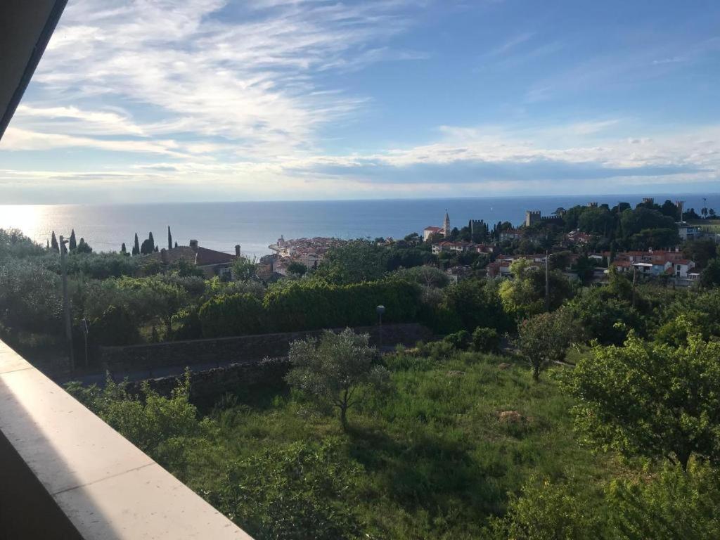 Apartmaji Jelena Piran Exteriér fotografie
